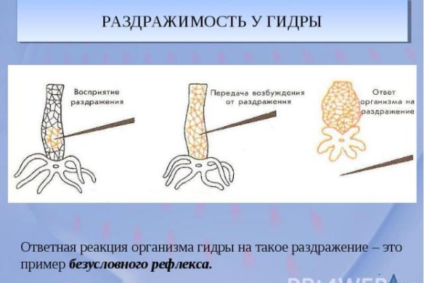 Кракен даркнет регистрация