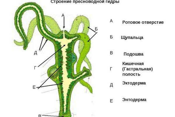 Адрес сайта кракен