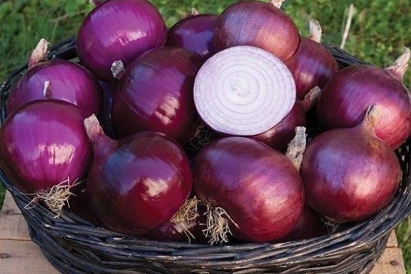 Onion ссылки даркнет